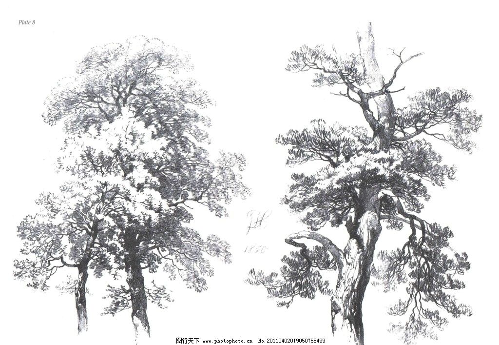 风景素描 经典素描 素描 场景素描 素描场景 线描 线稿 线条 大师作品 国外经典素描 国外素描 大师范画 范画 树木 植物 经典素描作品 绘画书法 文化艺术 设计 200DPI JPG