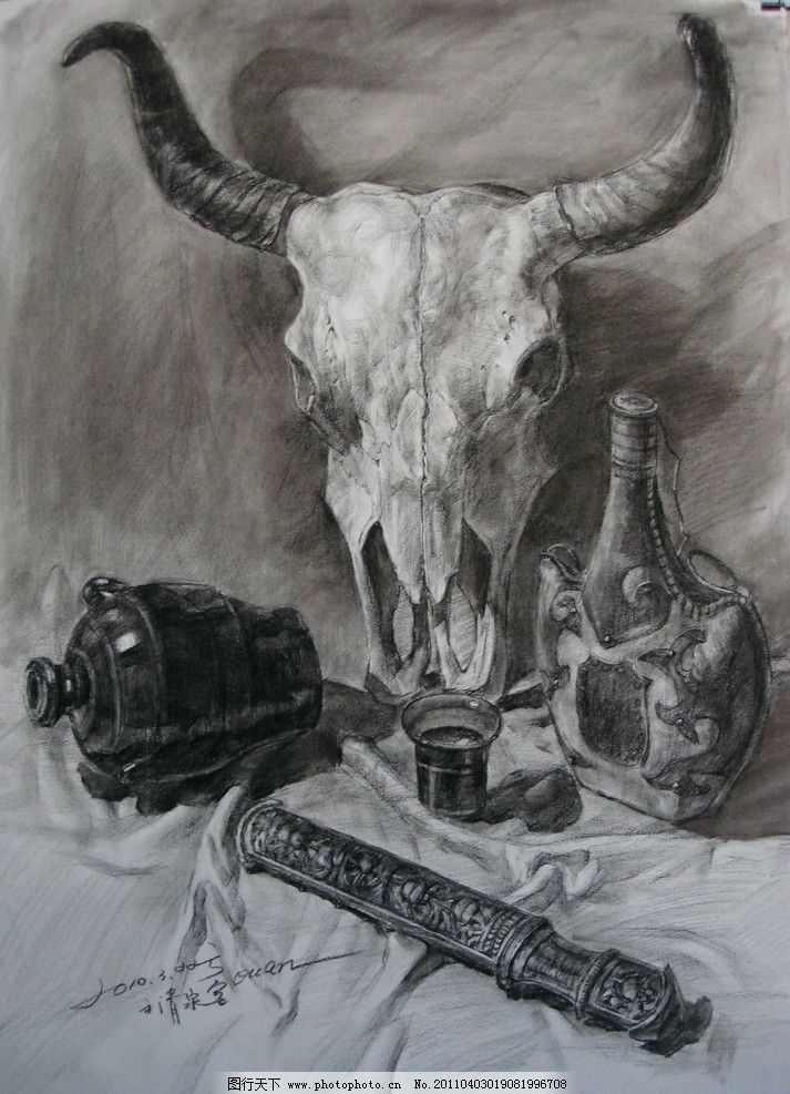 素描静物花卉类 实物图片展示