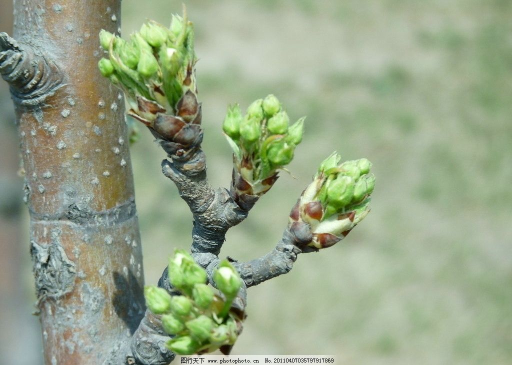 好牌子种类推荐…
