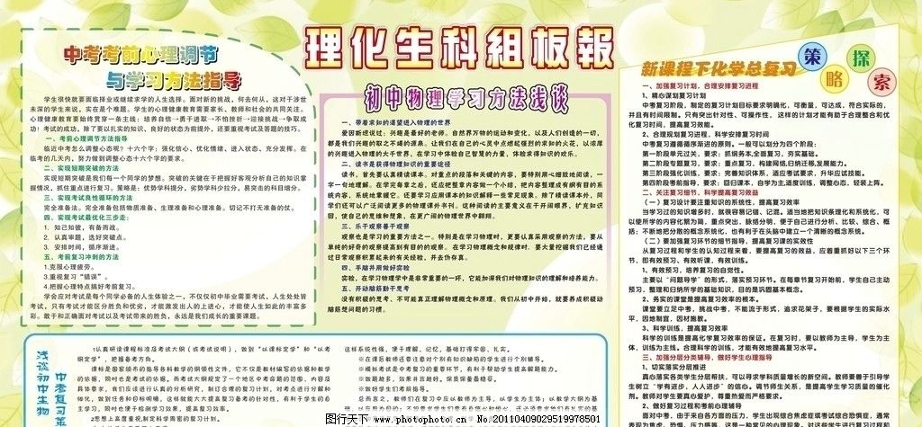 科组板报图片,物理 化学 生物 科学 版报 校园文