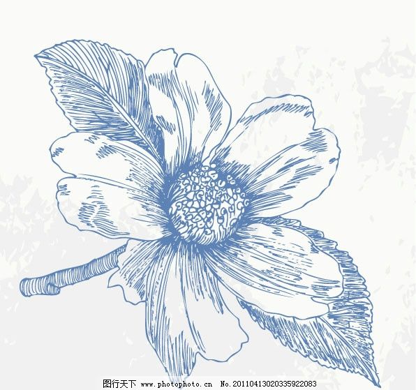 手绘花卉矢量素材 手绘 线描 素描 线条 花卉 花朵 花纹 叶子 花纹