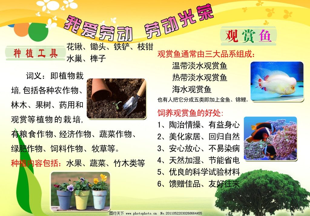 劳技小学图片作文展板成长图片