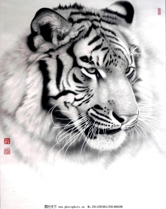 300DPI JPG 彩墨画 国画艺术 虎 虎头 绘画 绘画书法 老虎 美术 兽王 美术 绘画 中国画 水墨画 彩墨画 动物画 猛兽 虎 老虎 虎头 姿势 书法 印章 国画艺术 国画集48 绘画书法 文化艺术 设计 300dpi jpg 装饰素材 印章设计|雕刻图案