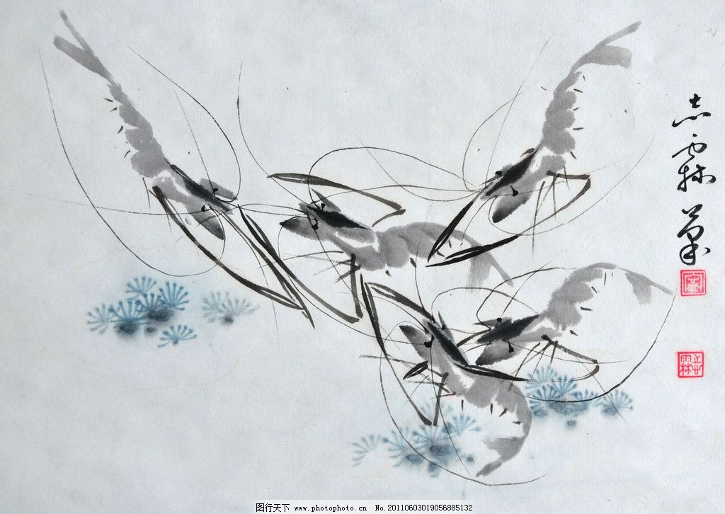 国画虾戏图图片