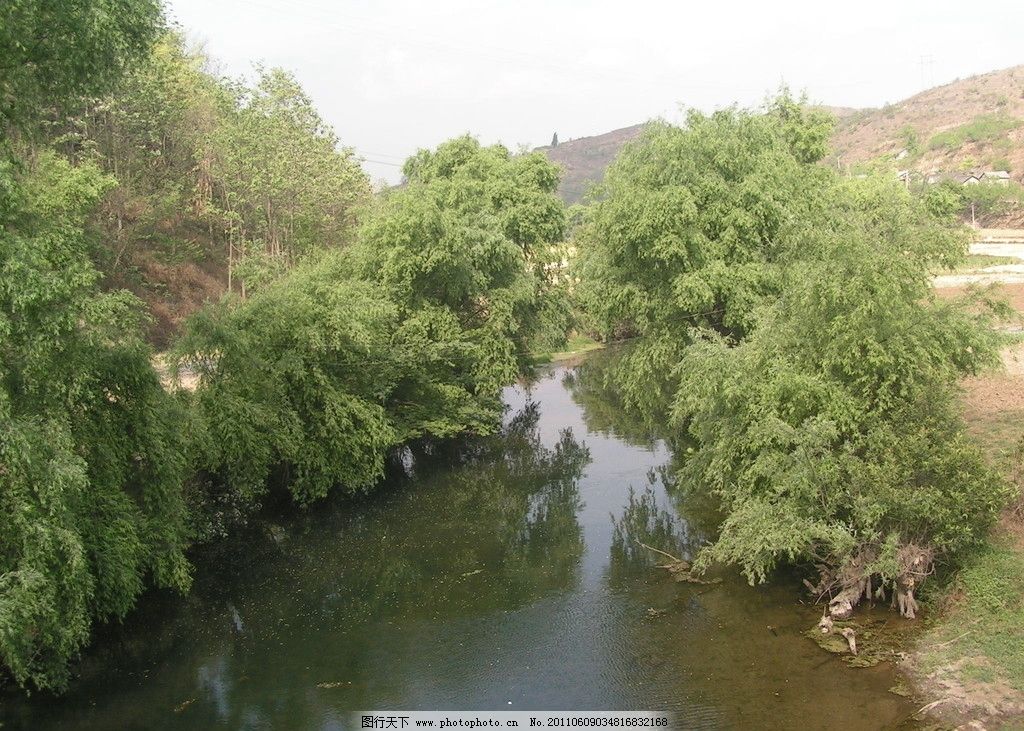 静静的小河图片,杨柳 大桥河 绿水 河水 自然风