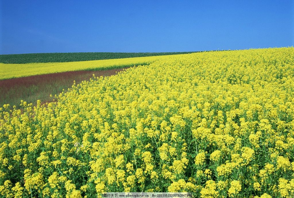 凉城任然歌谱简谱