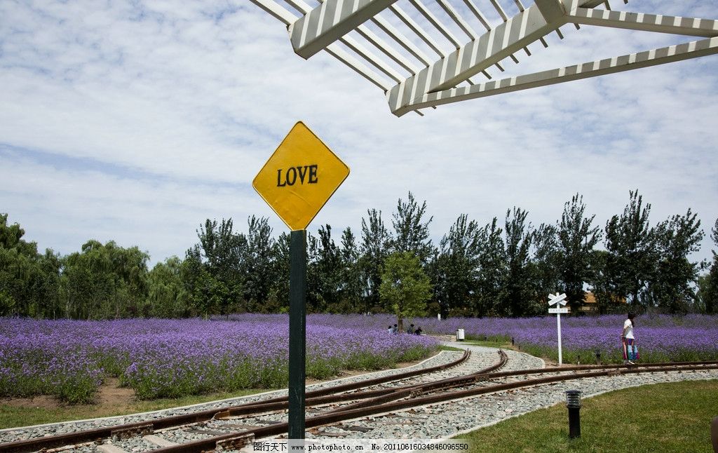 爱情终点站 图行天下