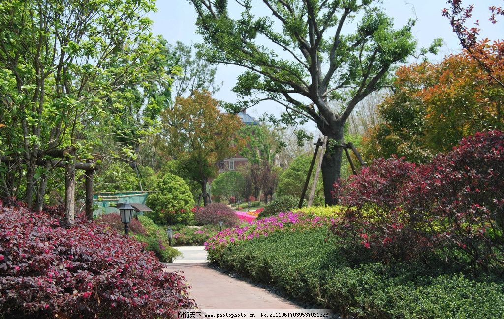 济南、合肥、佛山、西安翻译公司(办事处)可靠品质历久弥坚广州为总部、深圳分总部缅甸语缅甸文 库尔德语 阿拉伯语