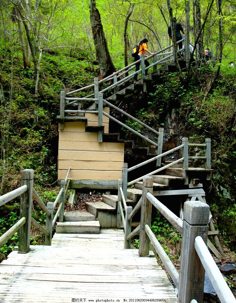 五常凤凰山 大峡谷 木桥 树桩 溪流 栈道 碎石 树木密密麻麻丛林 树林 绿树 小溪 瀑布 阳光 四方台公路大桥 高速公路 山川流水转山公路 稻田 风景图片 山水风景 自然景观 摄影 72DPI JPG