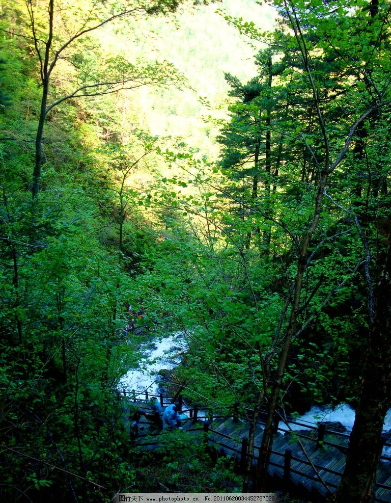 五常凤凰山 大峡谷 山涧 树桩 溪流 栈道 碎石 树木密密麻麻丛林 冰川流水 树林 绿树 小溪 瀑布 阳光 四方台公路大桥 高速公路 山川流水转山公路 稻田 风景图片 山水风景 自然景观 摄影 72DPI JPG