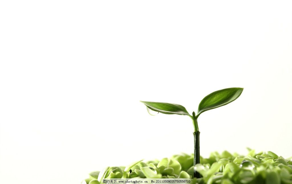 ppt背景可爱小树