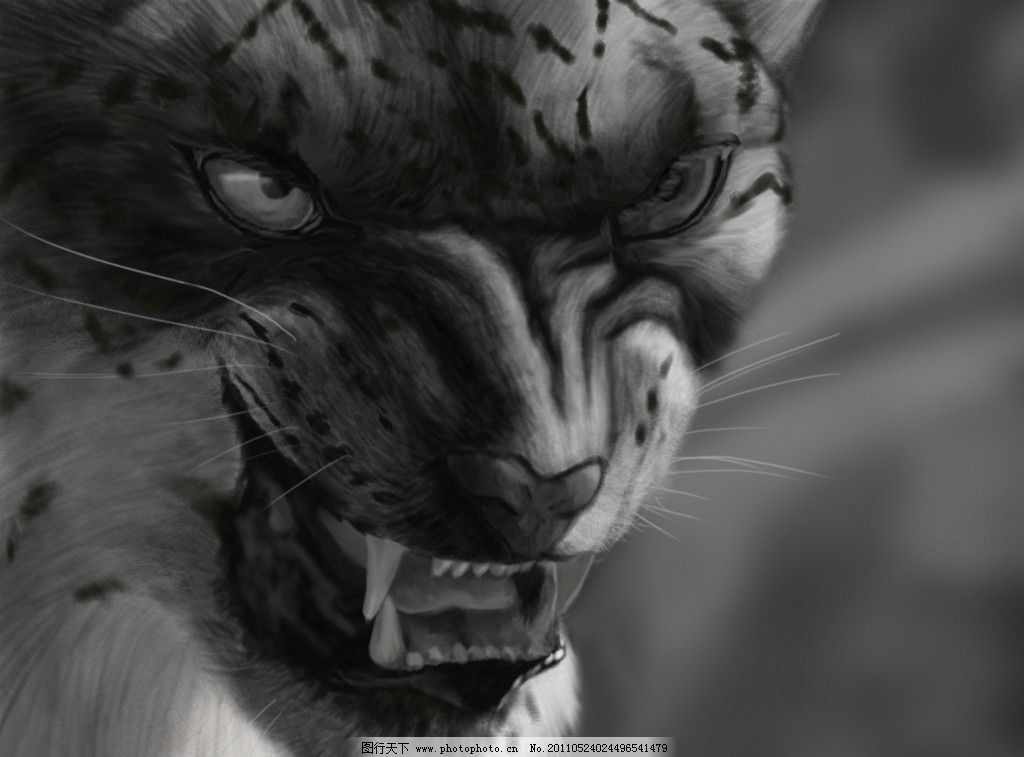 凶狠的猎豹,卡通动物,漫画动物,豹子,插画动物,动物设计图片,卡通漫画动物